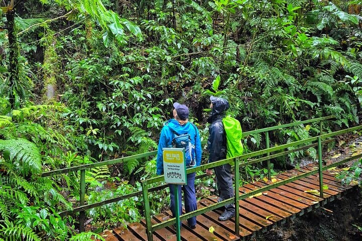 Monteverde Cloud Forest Guided Walk — Quetzal, Bellbird & Hummingbird Garden photo 6