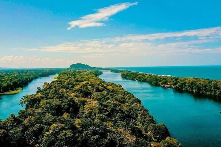 Puerto Limón Sloth & Tortuguero Canal Day Tour: Cahuita Wildlife Walk and Boat Safari photo 4