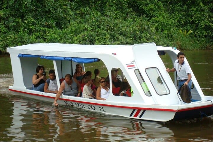 Puerto Limón Sloth & Tortuguero Canal Day Tour: Cahuita Wildlife Walk and Boat Safari photo 5