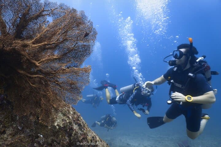 Racha Yai 3-Dive Adventure from Phuket — Certified Divers Only