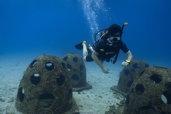 Racha Yai 3-Dive Adventure from Phuket — Certified Divers Only photo 6