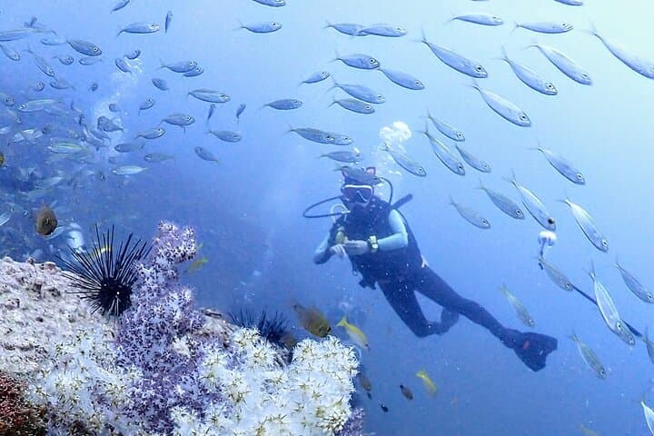 Dive the King Cruiser Wreck: Phuket 3-Dive Day Trip with Hotel Pickup photo 2
