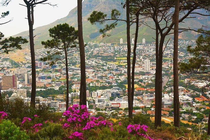 Table Mountain Cable Car & Bo-Kaap Half-Day Tour — Cape Town Panoramas photo 5