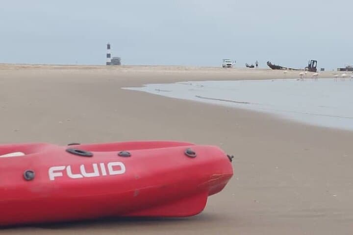 Seal Kayaking and Sandwich Harbour Dune Tour, Walvis Bay photo 2