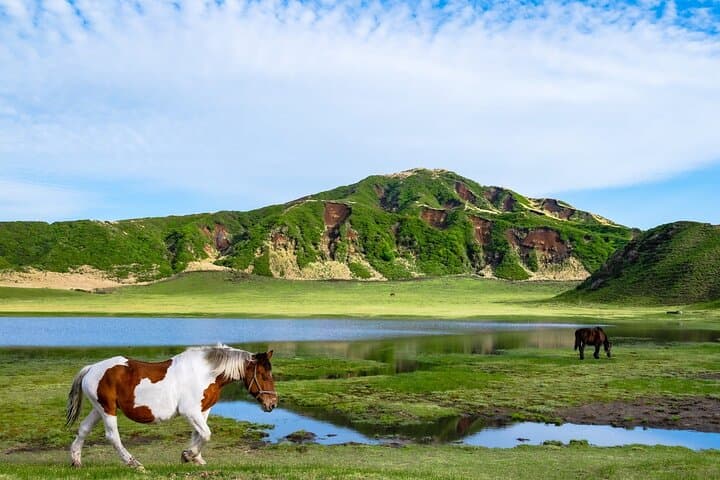 Mount Aso & Kumamoto Castle Day Tour from Fukuoka — Volcano Views, Grasslands & Culture photo 4