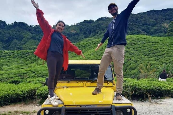 Mossy Forest & BOH Tea Plantation Half-Day Tour — Cameron Highlands photo 3