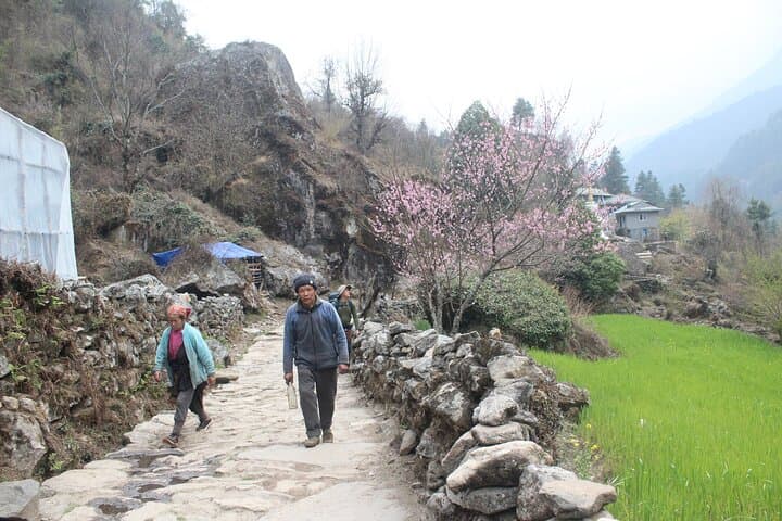 10-Day Everest Base Camp Trek from Lukla — Route, Altitude & Planning Tips photo 4