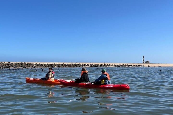 Seal Kayaking and Sandwich Harbour Dune Tour, Walvis Bay photo 3