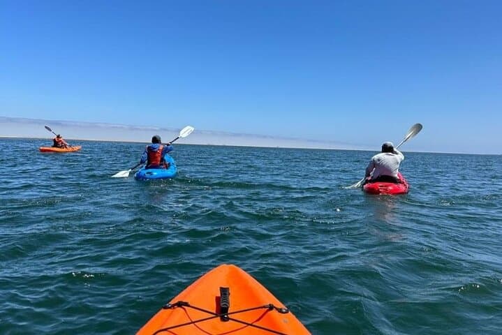Seal Kayaking and Sandwich Harbour Dune Tour, Walvis Bay photo 6