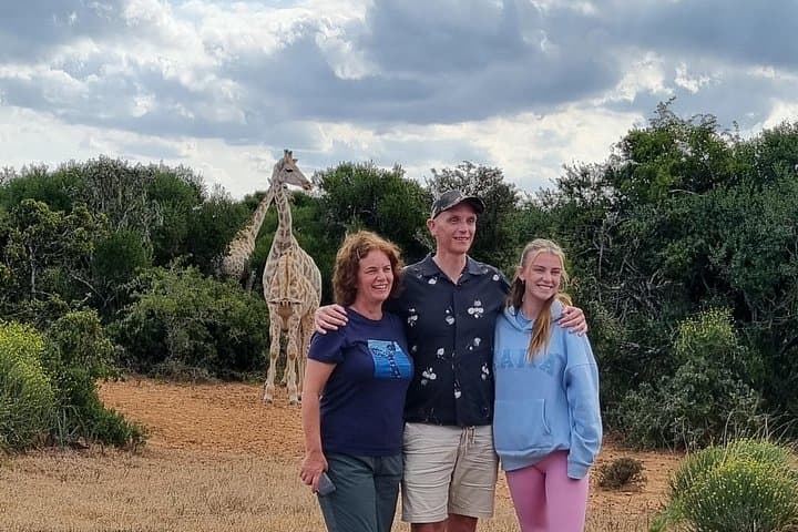 Full-Day Addo Elephant Park Safari and Giraffe Walk from Port Elizabeth
