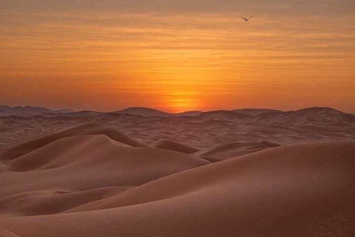 Overnight Desert Camp in Oman's Empty Quarter: Private Bedouin Tent & Ubar Exploration photo 6