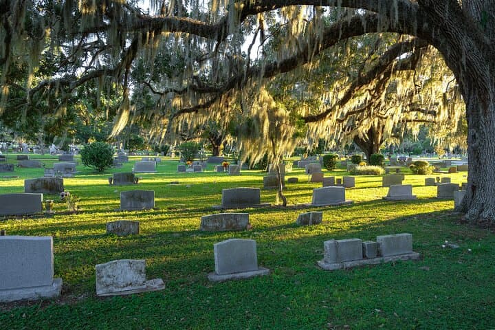 Tampa Riverwalk Self-Guided Audio Walking Tour: History, Highlights & Practical Guide photo 6