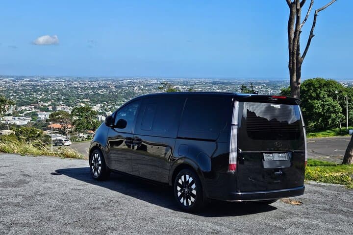 Private Full-Day Chauffeur Service from Cape Town — Flexible Sightseeing & Wine Routes photo 2