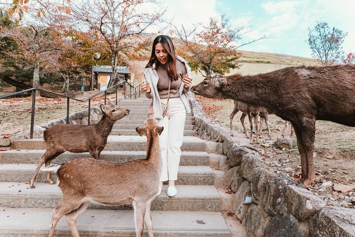 Kyoto to Nara, Osaka & Kobe Full-Day Tour — Deer, Temples & Dotonbori photo 6