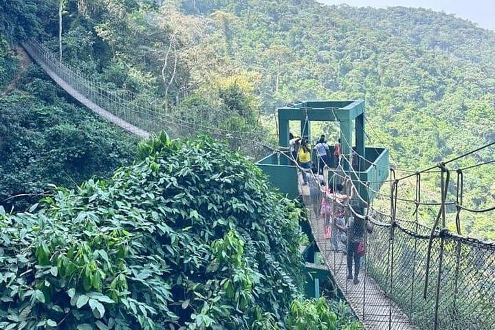 Hike Mt. Gemi and Walk the Ote Waterfalls Canopy — Volta Region Day Tour photo 2