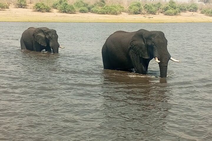 Seven-Day Safari: Victoria Falls, Chobe & Okavango Delta Adventure
