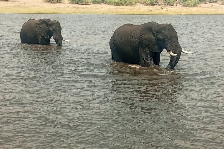 Seven-Day Safari: Victoria Falls, Chobe & Okavango Delta Adventure photo 2