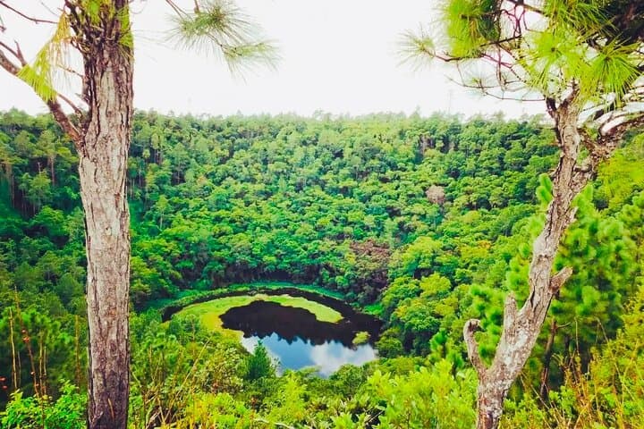 South Mauritius Rum, Lychee Wine and Tea Tasting Tour — Southern Flavors & Scenic Day Trip
