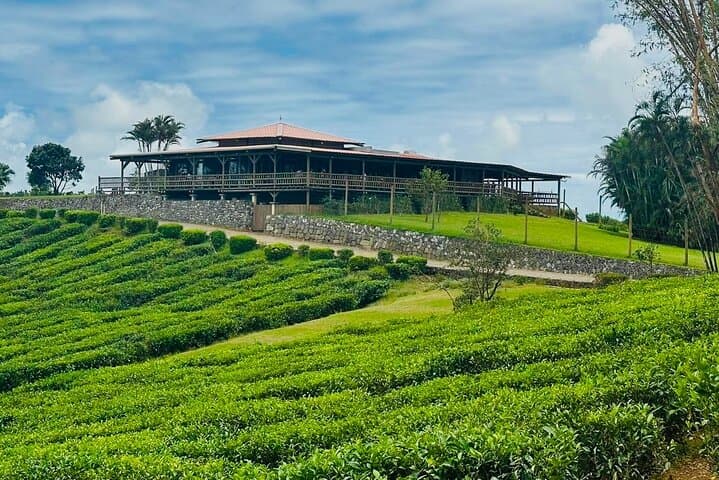 South Mauritius Rum, Lychee Wine and Tea Tasting Tour — Southern Flavors & Scenic Day Trip photo 2