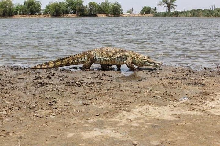 Best of Ghana: 12-Day Cultural and Safari Circuit photo 4