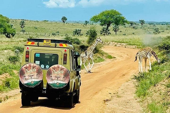 Three-Day Murchison Falls Safari: Boat Cruise, Game Drives & Top-of-Falls Hike photo 2