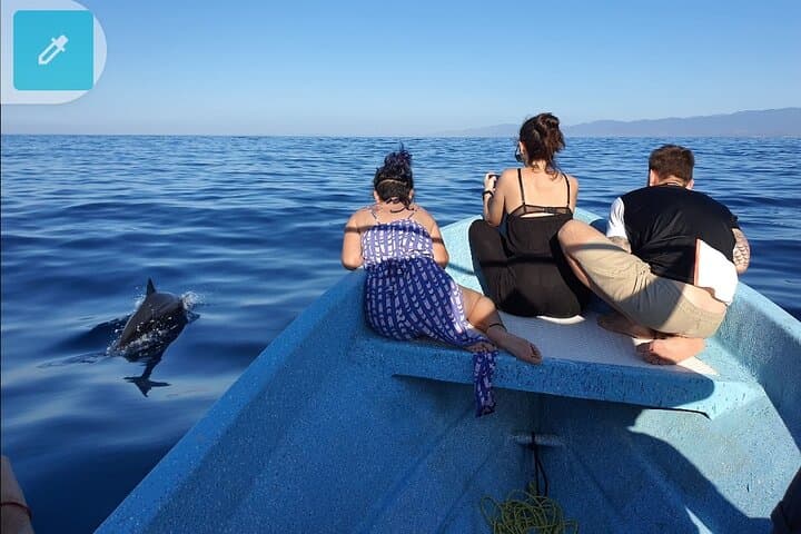Puerto Escondido Whale & Dolphin Safari: 3-Hour Pacific Marine Cruise photo 3