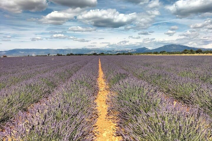 Gorges du Verdon Boat Picnic, Lavender Fields & Sainte-Croix Village: A Provençal Day Trip photo 3