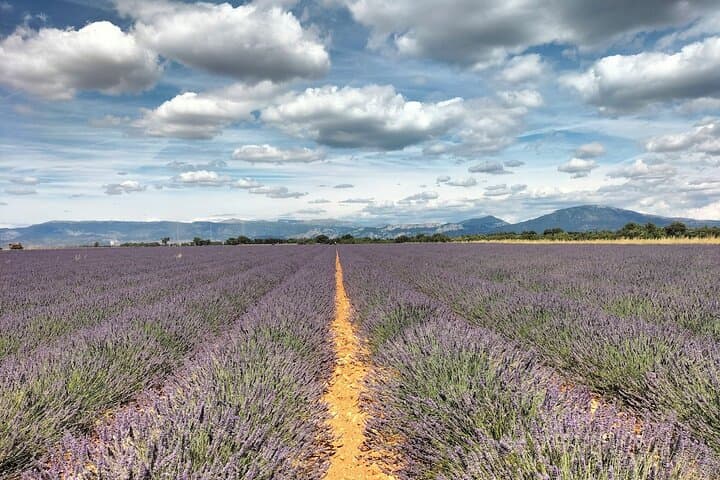 Gorges du Verdon Boat Picnic, Lavender Fields & Sainte-Croix Village Day Trip from Aix-en-Provence photo 2
