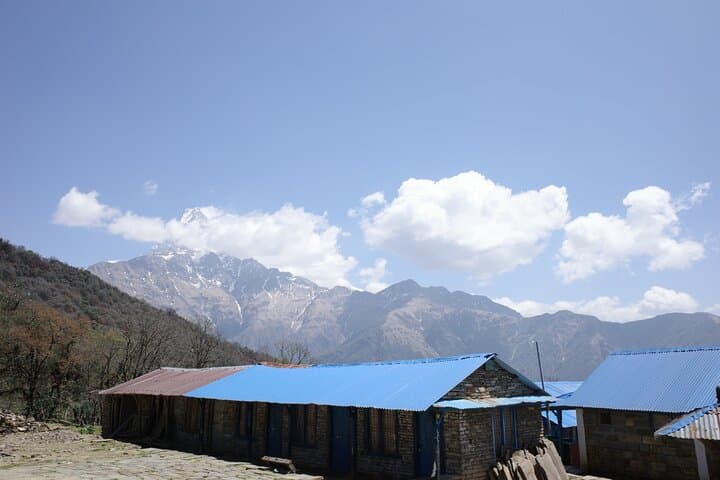 Mardi Himal Trek: 6-Day Annapurna Ridge Trek from Kathmandu photo 4