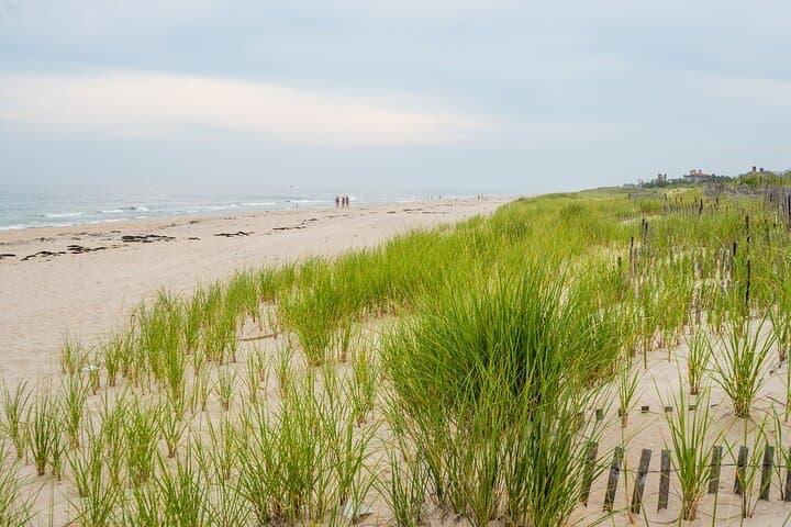 Hamptons Day Trip from NYC: Sag Harbor, Southampton & Outlet Shopping Guide photo 2