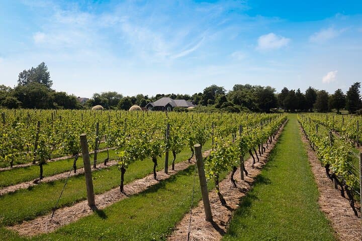 Hamptons Day Trip from NYC: Sag Harbor, Southampton & Outlet Shopping Guide photo 5
