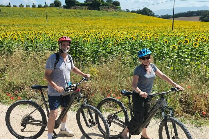 E-bike Wine & Olive Oil Tasting Around Orvieto: Castles, Cellars, and Panoramas photo 5