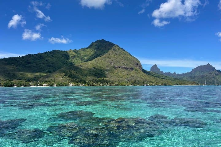 Moorea Private Eco Boat Cruise with Native Crew — Snorkel Bays & Marine Reserve photo 4