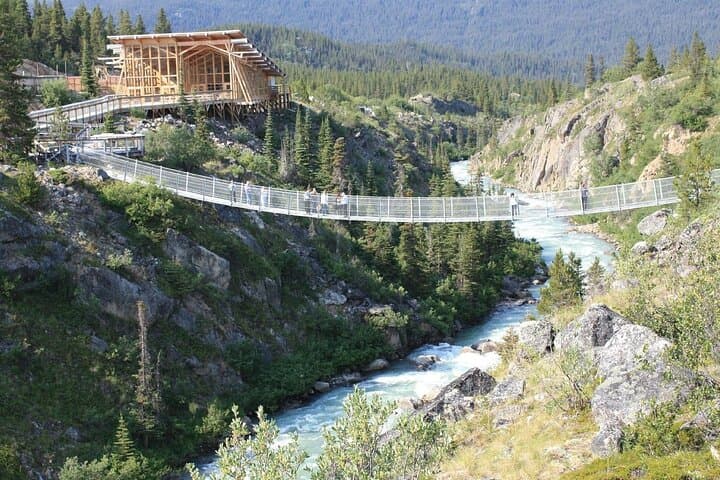 Yukon Suspension Bridge & White Pass Summit Half-Day Tour from Skagway