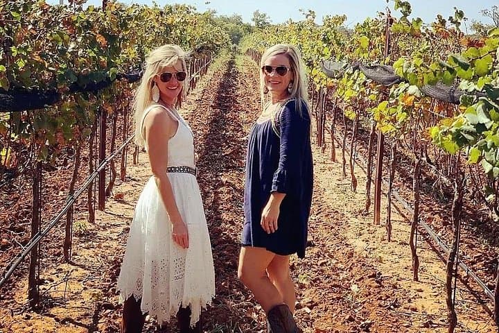 Private Fredericksburg Wine Tour from San Antonio — 5-Hour Luxury Van Experience photo 5