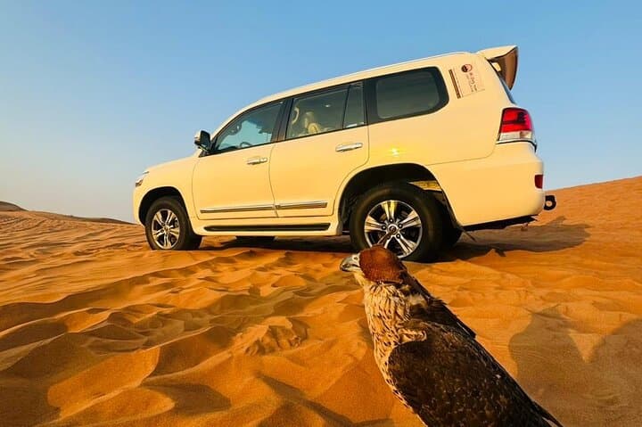 Red Dune Desert Safari Dubai — Quad Biking, Camel Ride & BBQ Experience photo 6