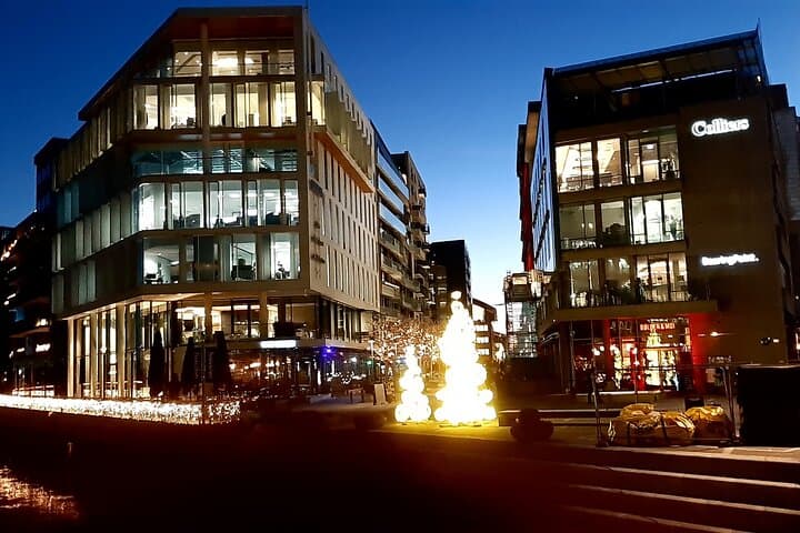 Oslo Christmas Walking Tour & Jul i Vinterland Market with Local Guide photo 2