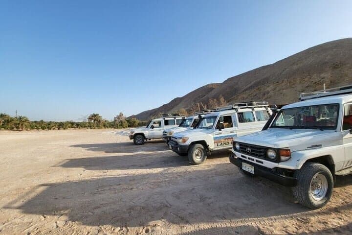 Hurghada-Desert-Stargazing-Bedouin-Dinner-Jeep-Safari photo 2