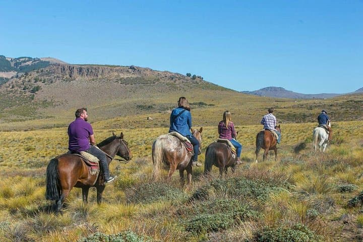 Horseback Riding the Patagonian Steppe from Bariloche — Roast Lunch Included photo 2
