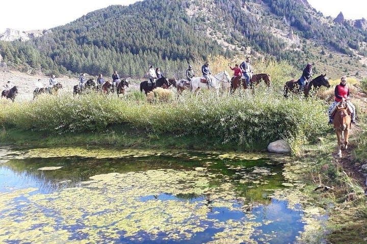 Horseback Riding the Patagonian Steppe from Bariloche — Roast Lunch Included photo 3