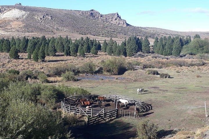 Horseback Riding the Patagonian Steppe from Bariloche — Roast Lunch Included photo 4