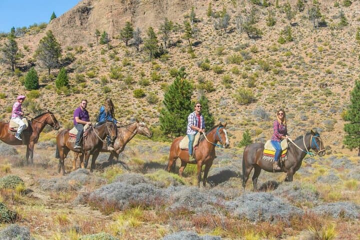 Horseback Riding the Patagonian Steppe from Bariloche — Roast Lunch Included photo 1