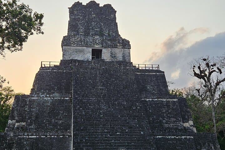 Day Trip to Tikal from Flores: Guided Tour with Lunch