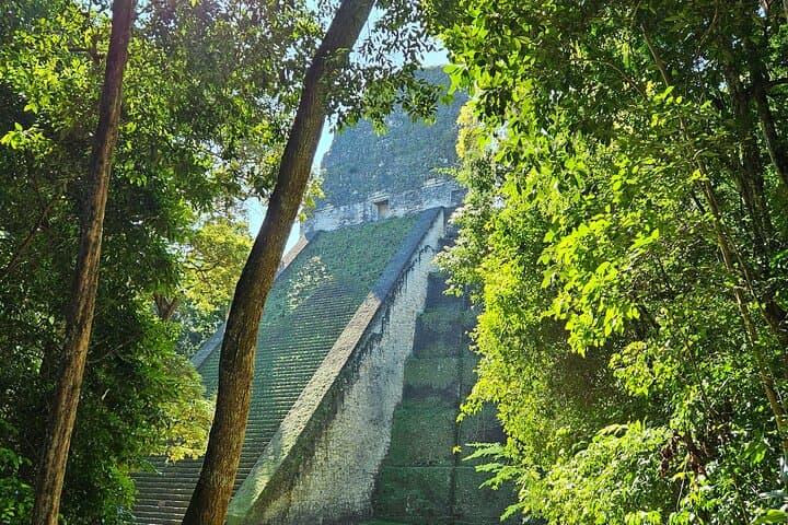Day Trip to Tikal from Flores: Guided Tour with Lunch photo 4