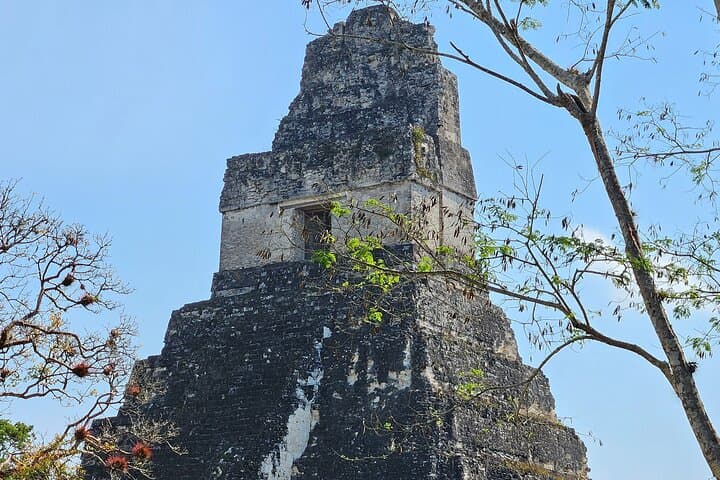 Day Trip to Tikal from Flores: Guided Tour with Lunch photo 2