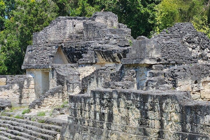 Day Trip to Tikal from Flores: Guided Tour with Lunch photo 5