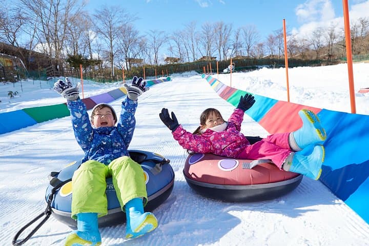 Day Trip to Fujiyama Snow Resort Yeti: Ski, Sled & Shuttle from Tokyo photo 4