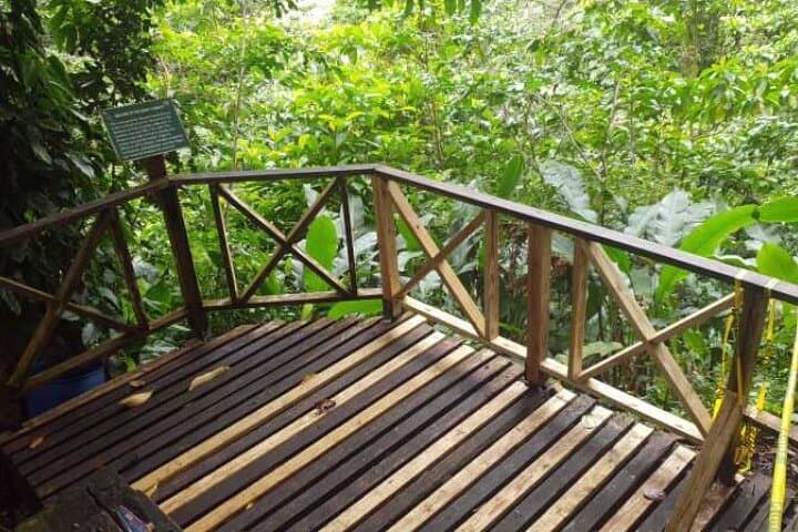Mesopotamia Valley to Buccament Beach: Guided Nature Trail Near Kingstown