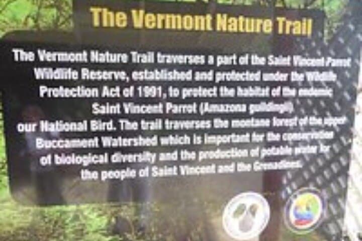 Mesopotamia Valley to Buccament Beach: Guided Nature Trail Near Kingstown photo 2