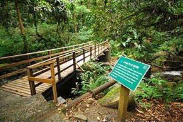 Mesopotamia Valley to Buccament Beach: Guided Nature Trail Near Kingstown photo 3